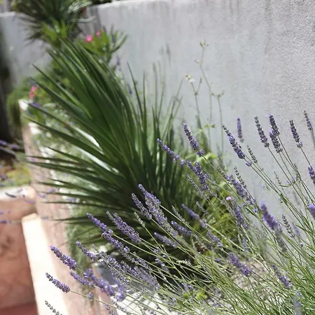 Pensionat Tanya-apartments And 3*