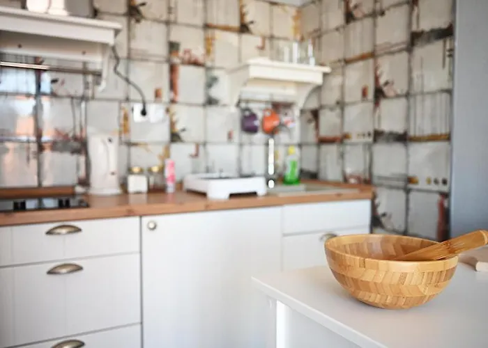 Tanya-apartments And ゲストハウス フヴァル