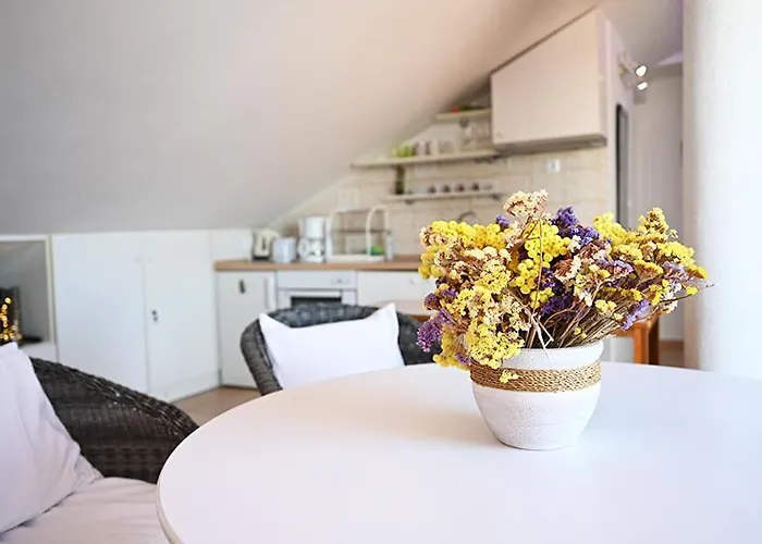 Tanya-apartments And