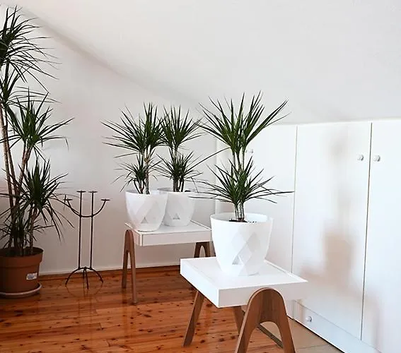 Tanya-apartments And 3* Hvar Town