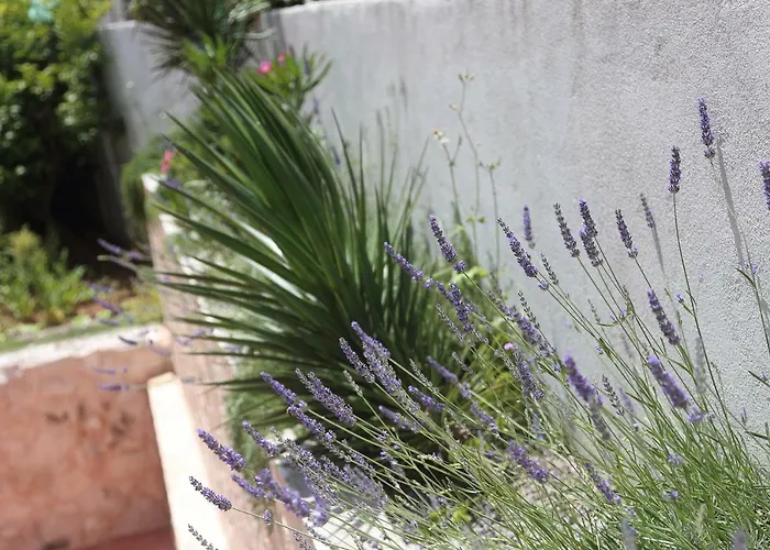 Gæstehus Tanya-apartments And 3*