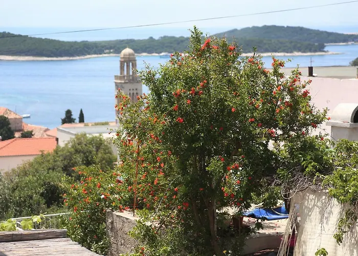 Tanya-apartments And